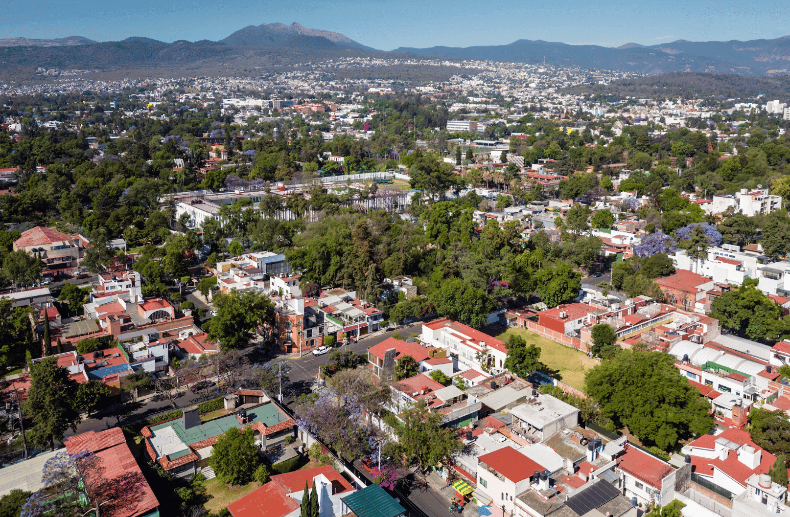 Neighborhoods to Consider in Union City 1
